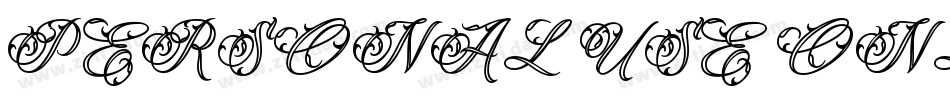 PERSONAL USE ONLY字体转换